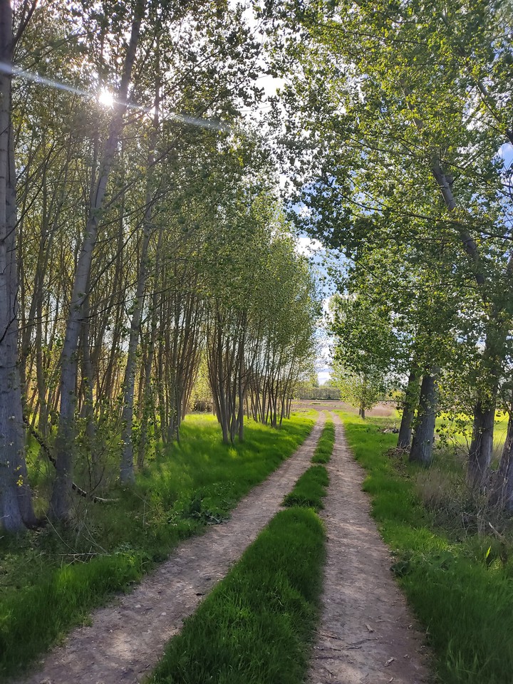 lugar tranquilo caminreal Teruel