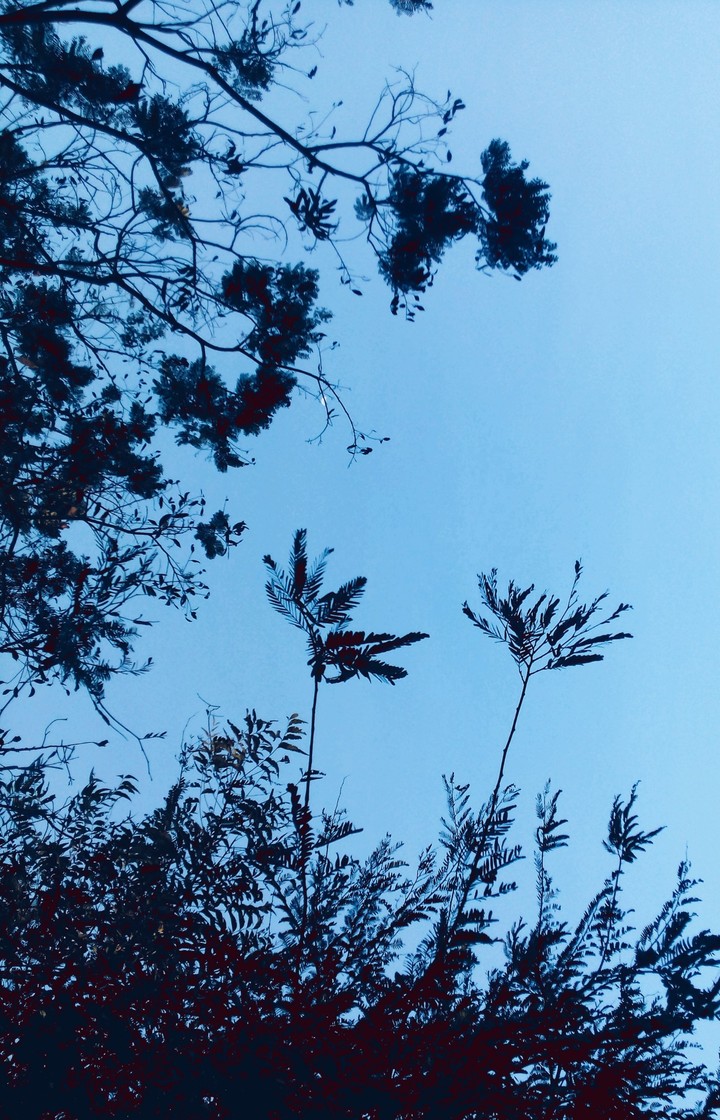 Dusk