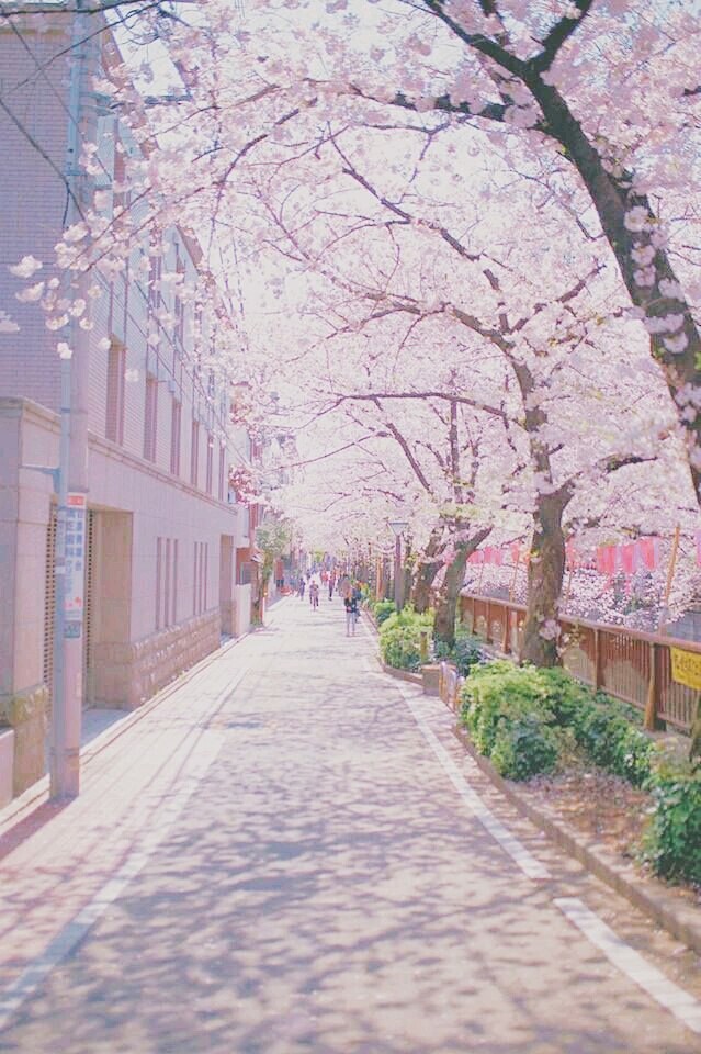 roads.(도로)