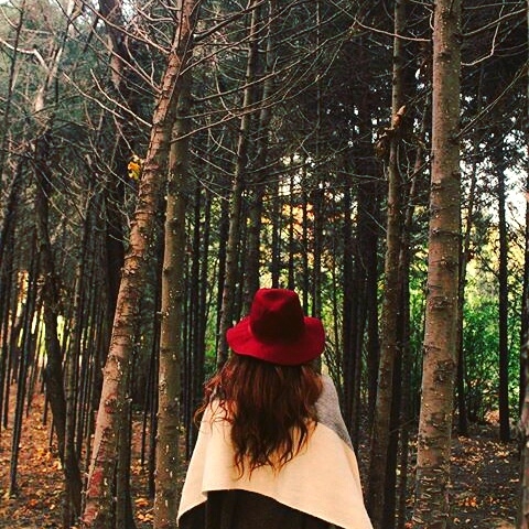 botanica