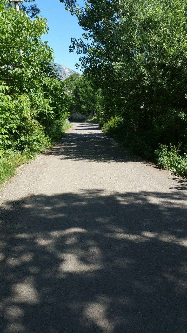 yol