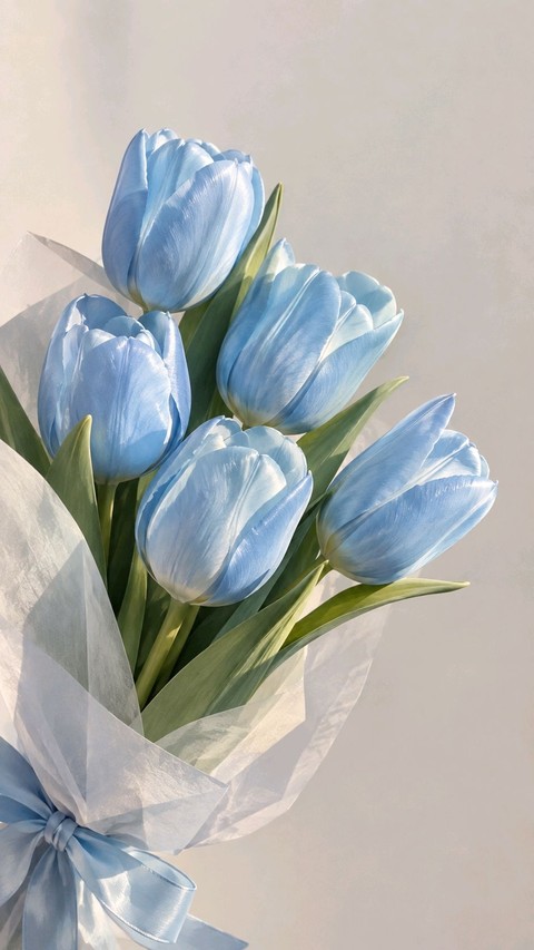 Keyboard, Flower_bouquet, Petal