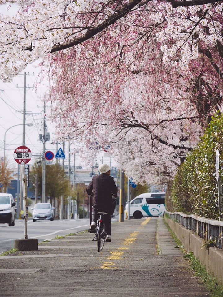 spring