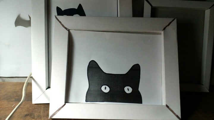 cat