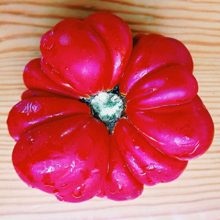 tomato