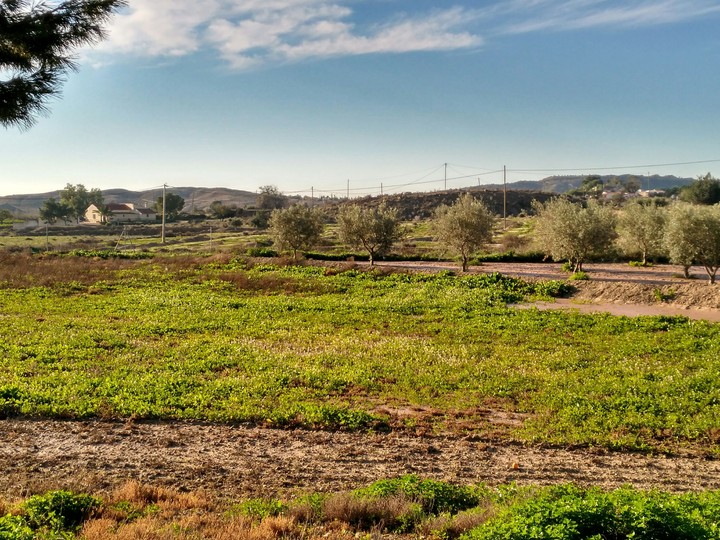 Mediterranean Spanish Countryside
