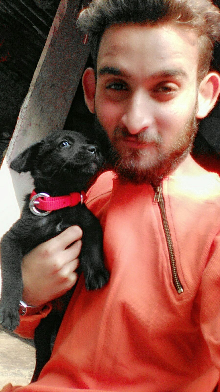 doggie with brown boy