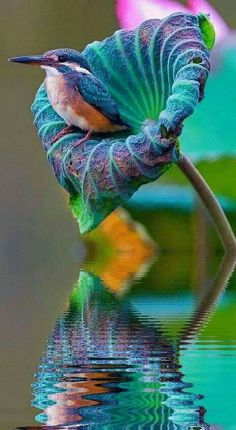 .