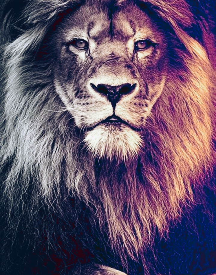 aslan