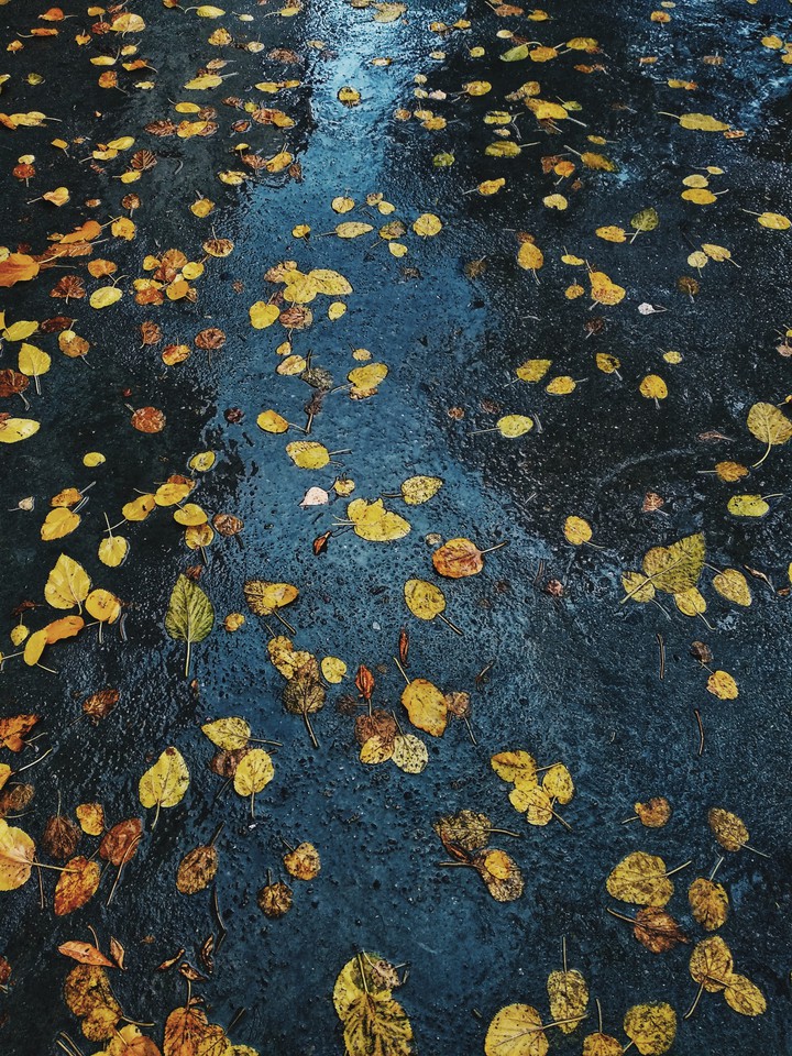 Rainy day