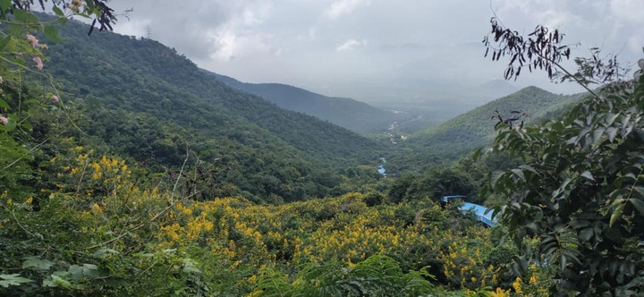 Tirumala