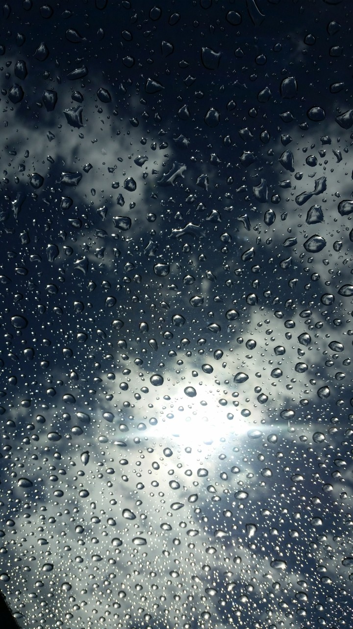 Sunny Dew