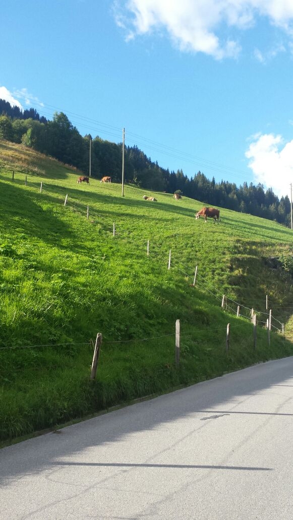 Schweiz