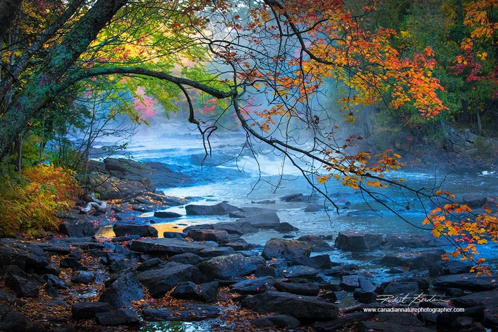 nature