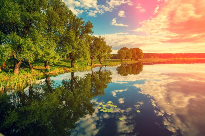 Nature