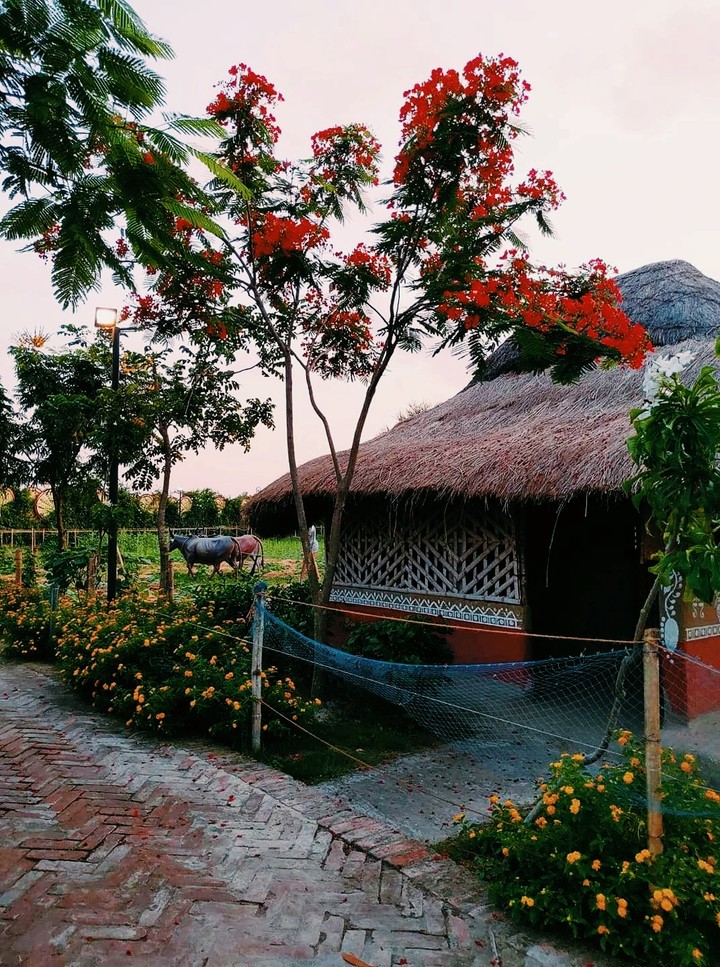 Village ❤️