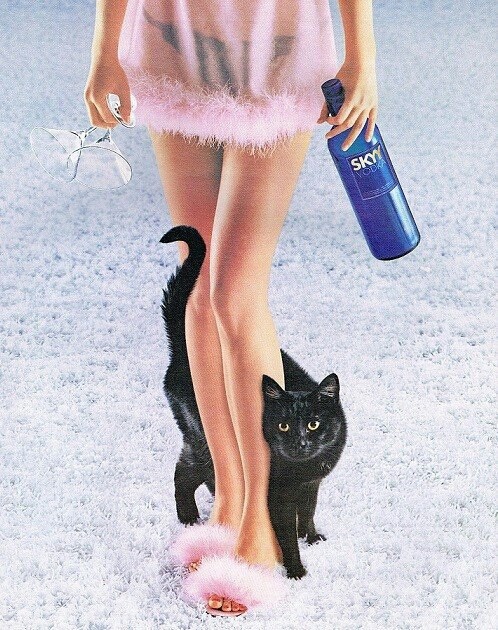Skyy