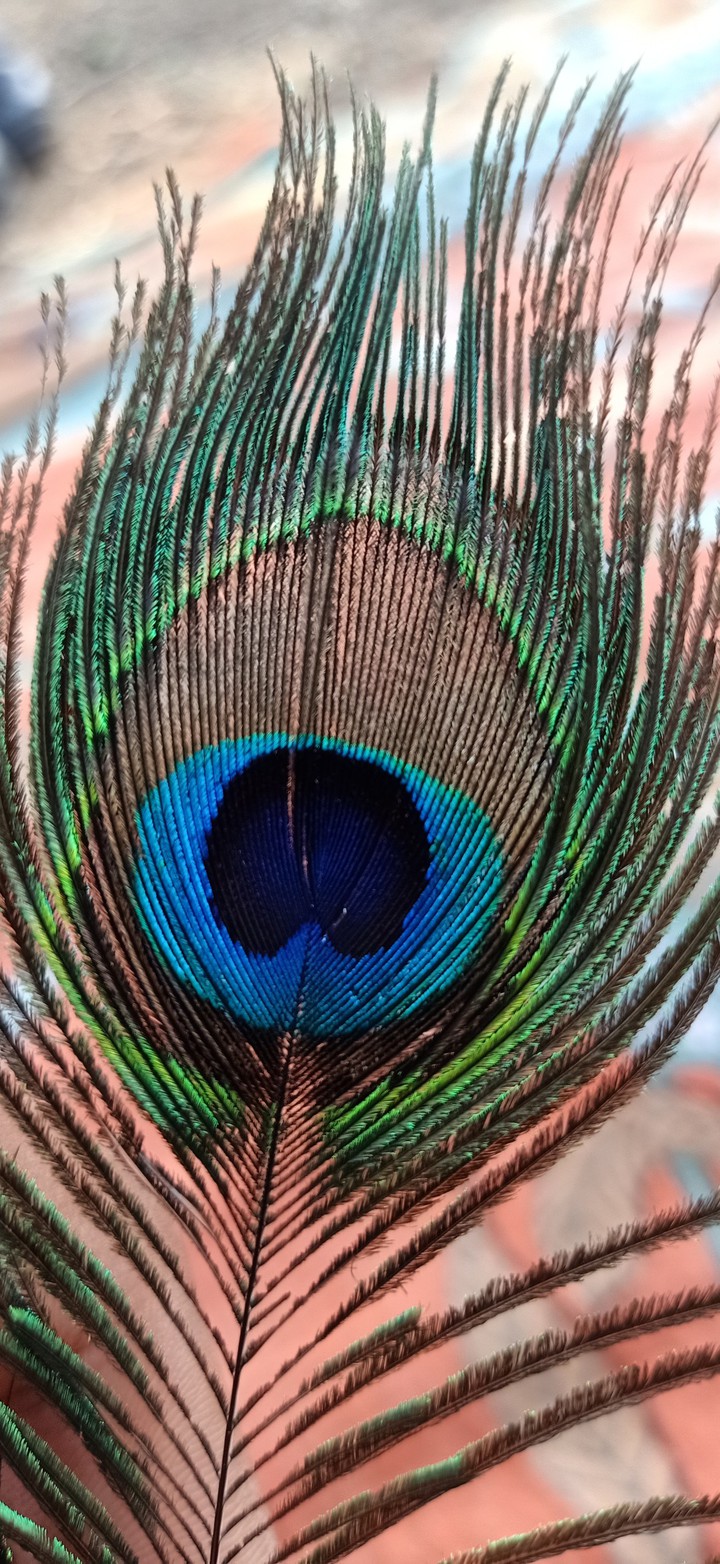 original colour ful