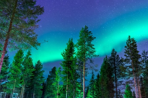 nature, 冬天壁纸