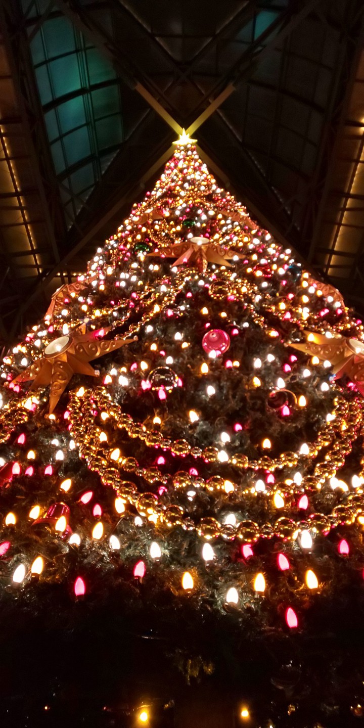 メリークリスマス