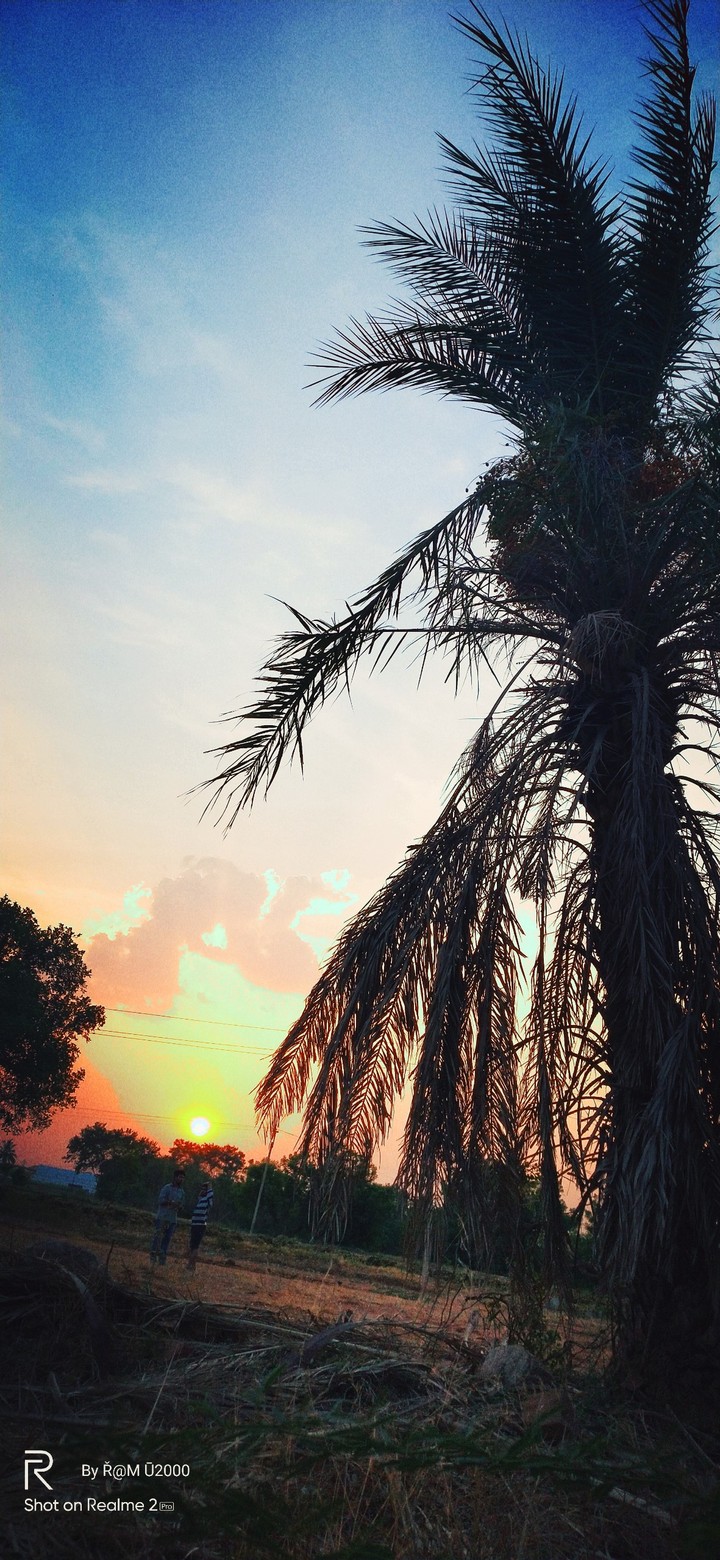sun