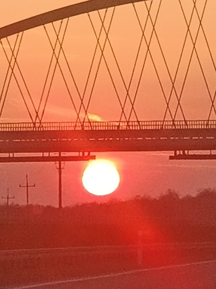 sunshine