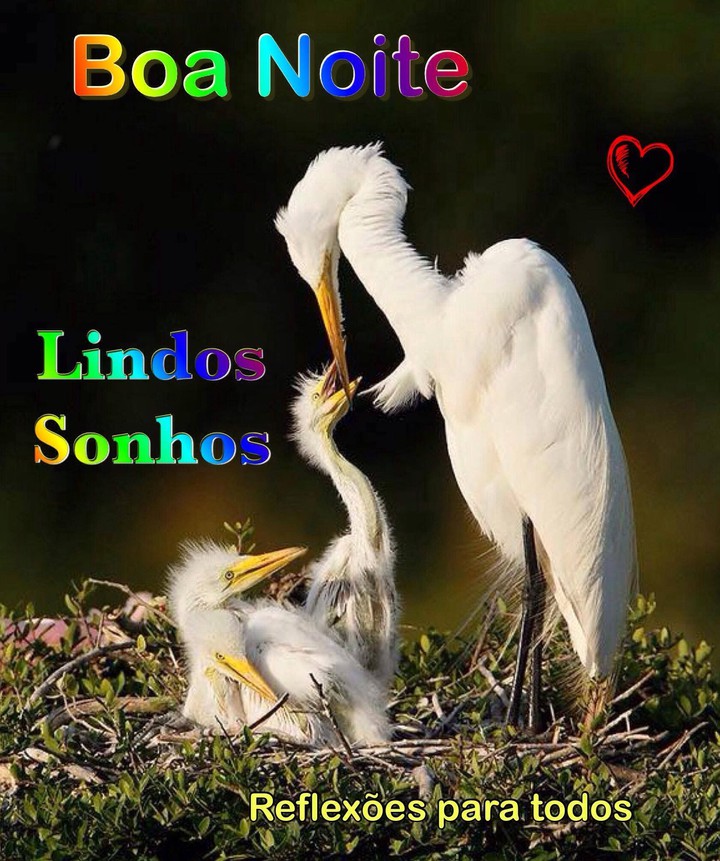 Para meus queridos amigos.