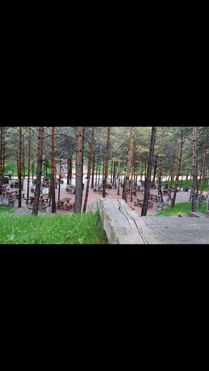 sivas