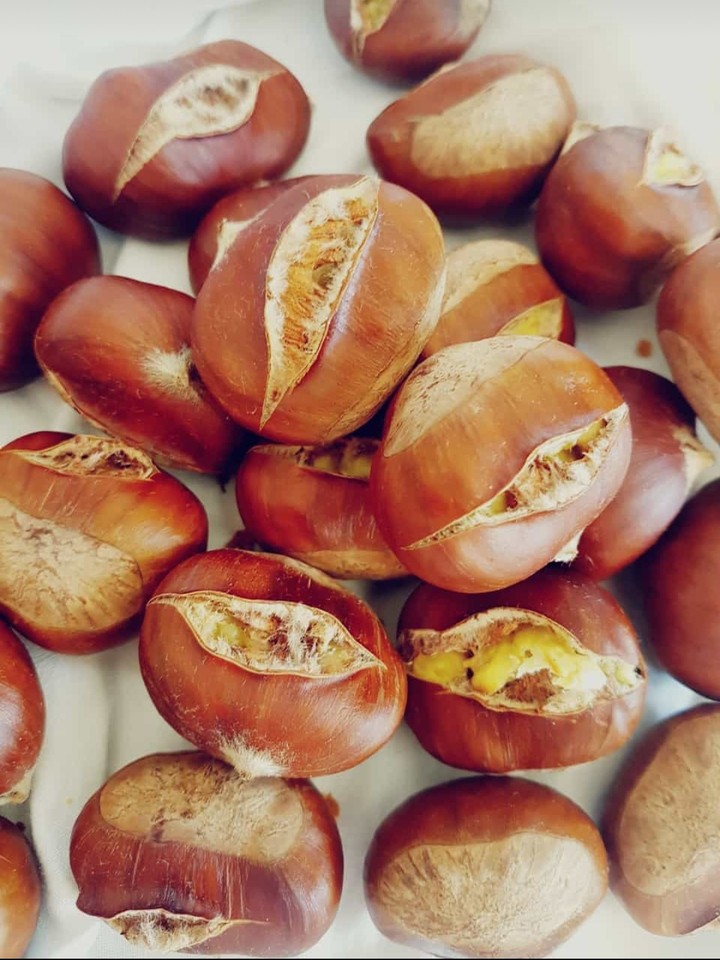 #castagne