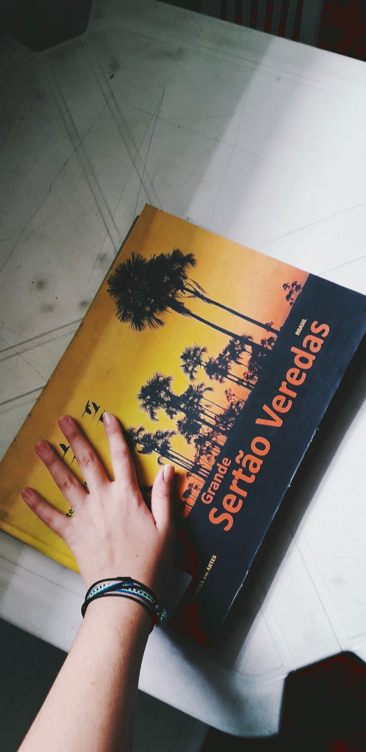 Book Grande Sertão Veredas