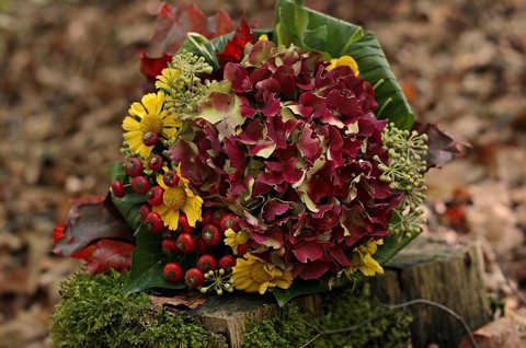 floristry, plant Hintergrundbilder