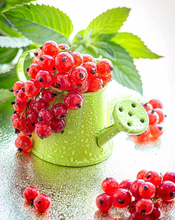 Redcurrant