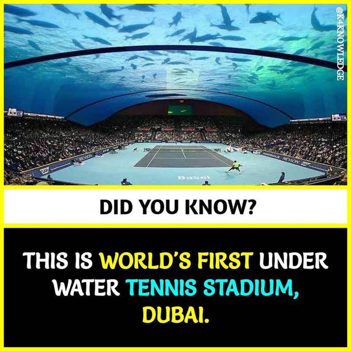 Fact