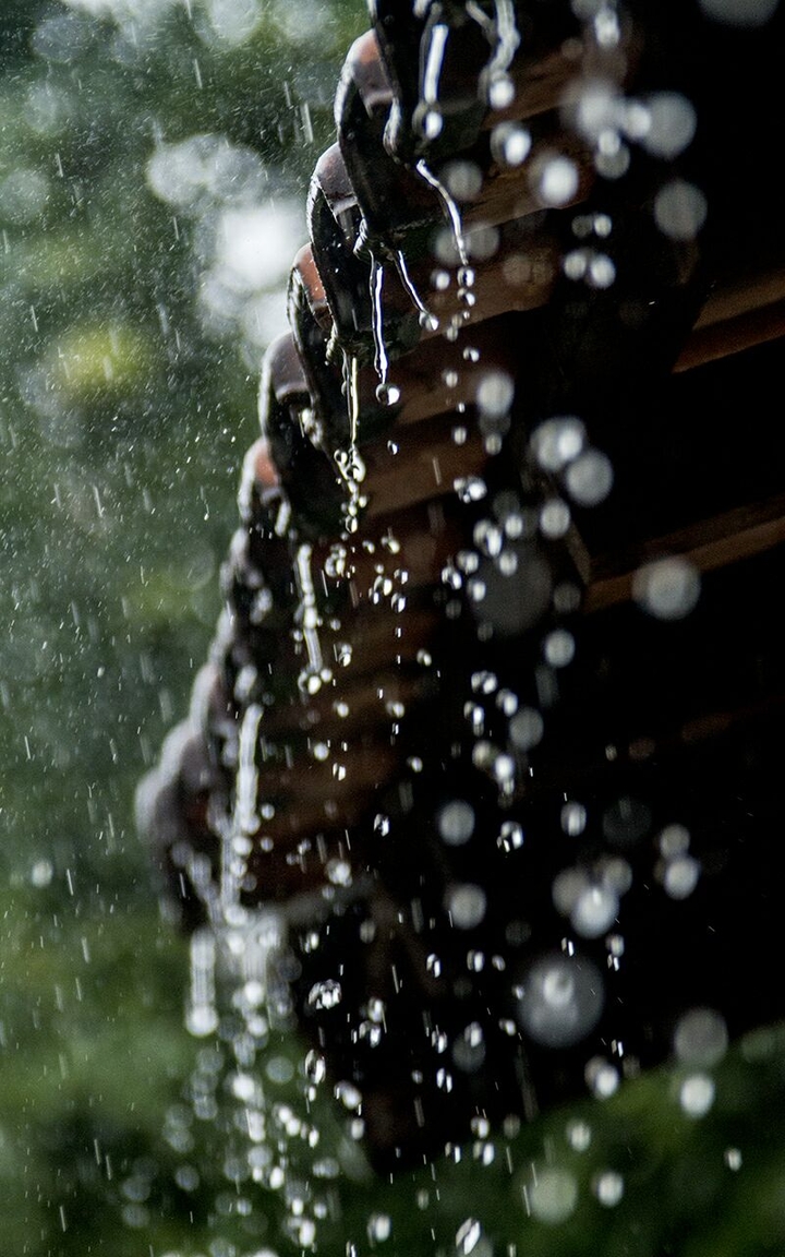 rain