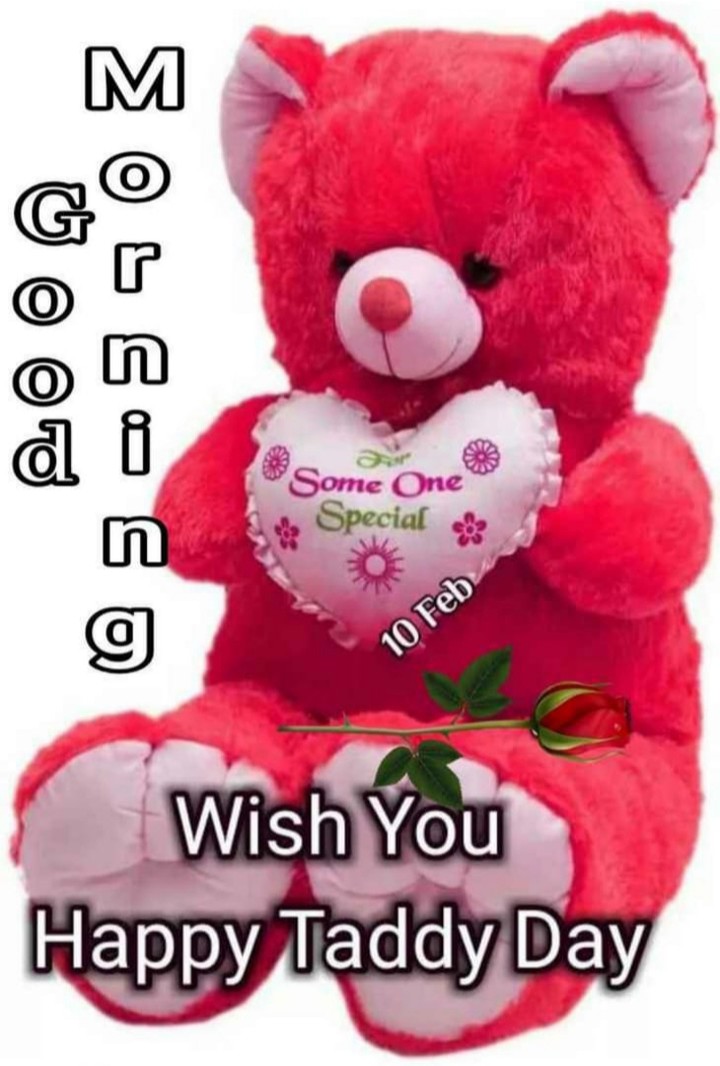 good morning