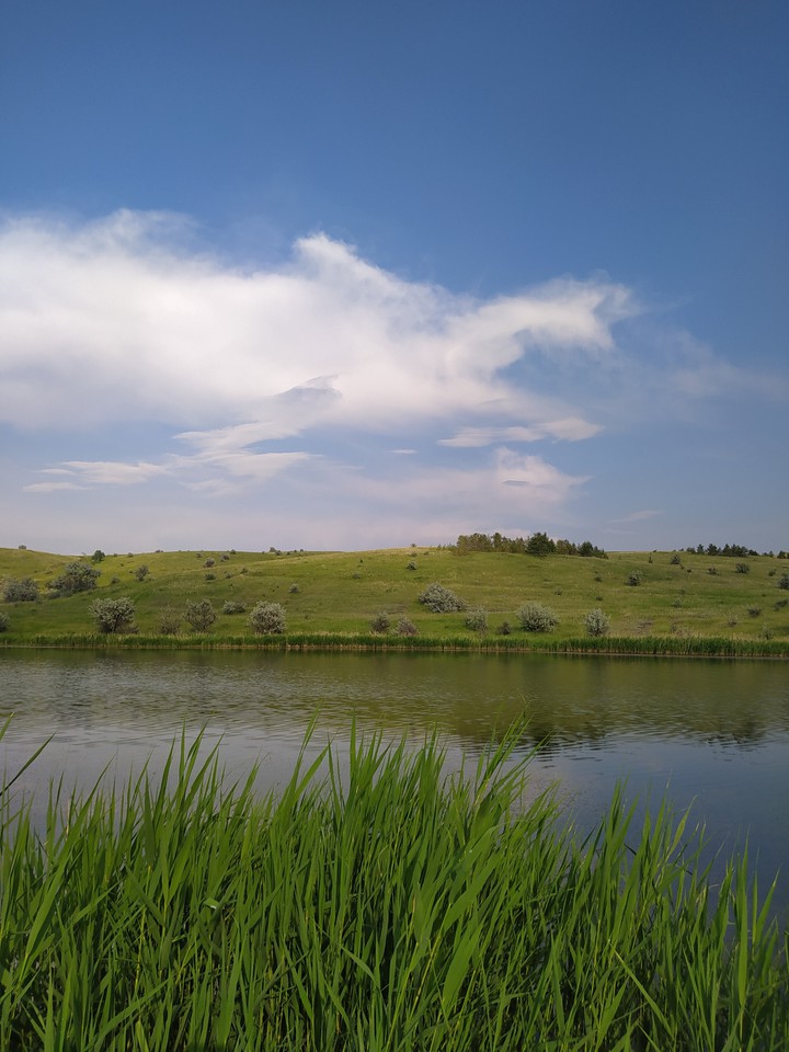 пегас