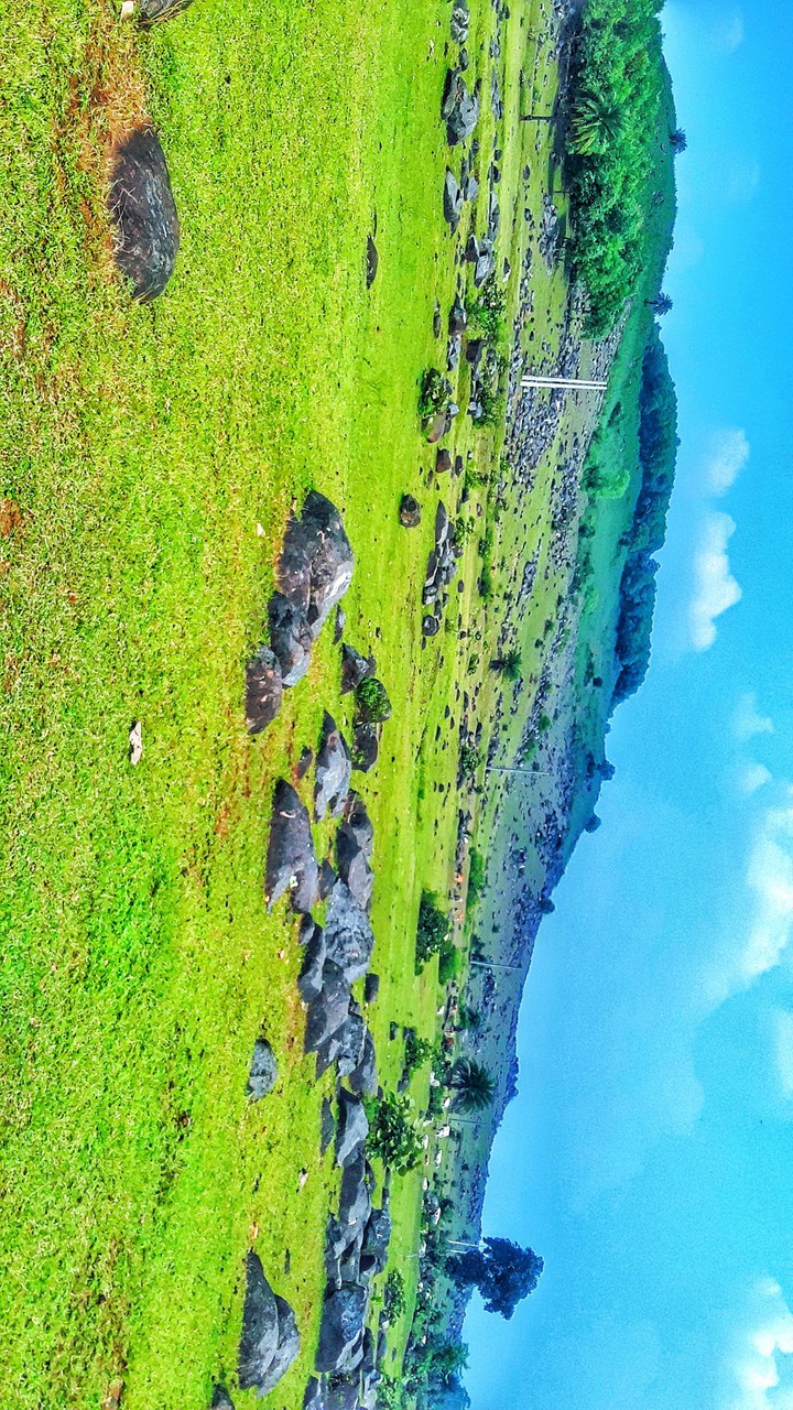 Hill's