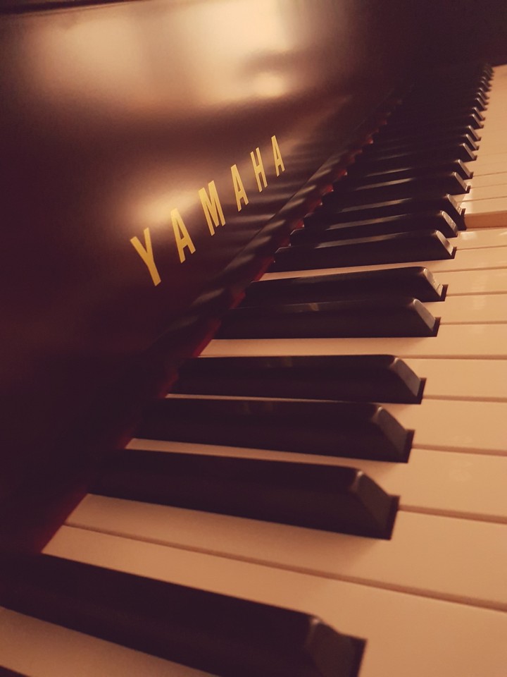 piano and a pressed key :)