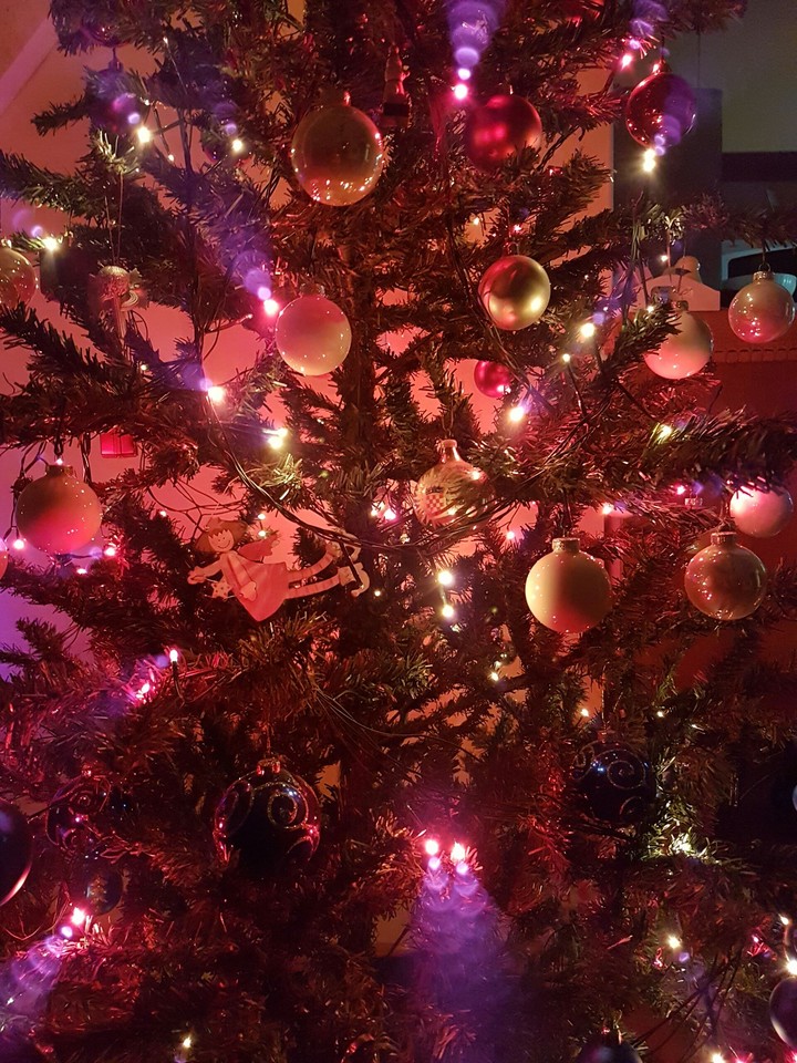 Christmas tree..