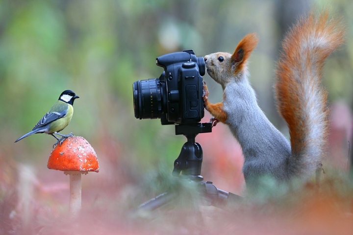 .