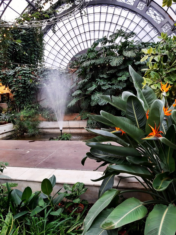 Tavrichesky garden greenhouse in St. Petersburg
