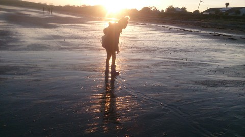 Beachcomber