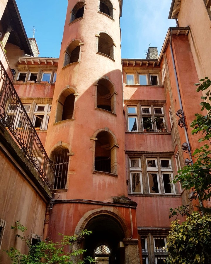 Lyon et sa tour rose