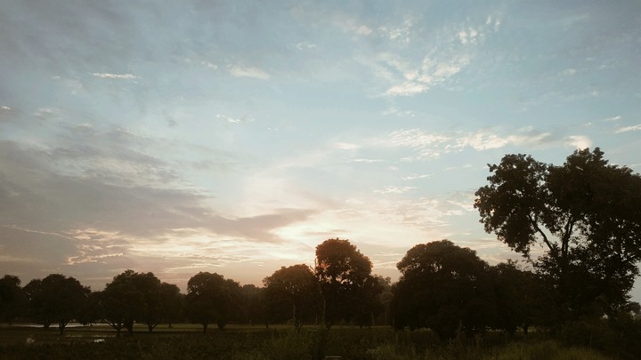 Beauty with nature