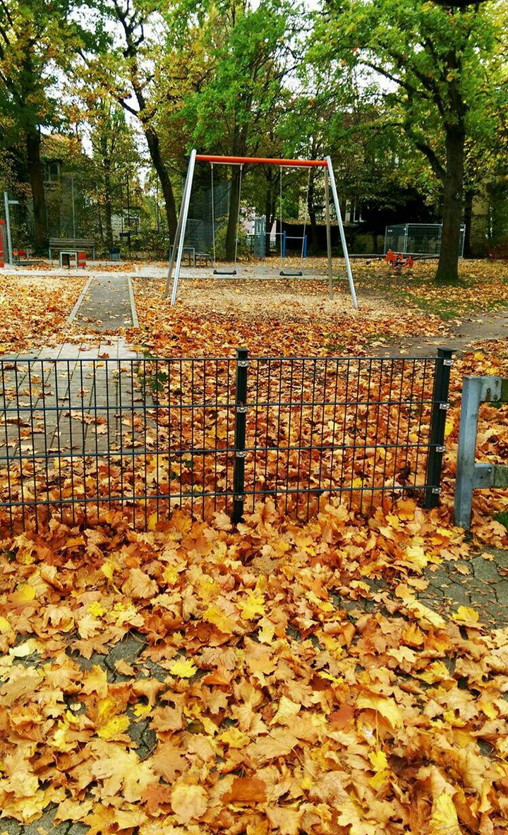 Autumn