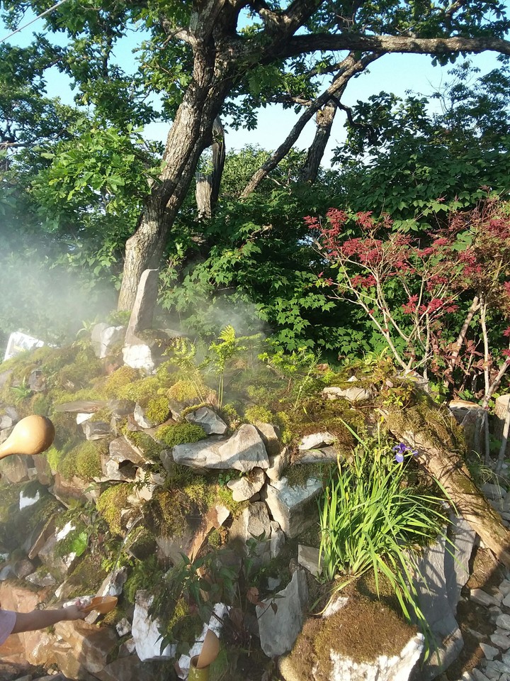 THE NATURE