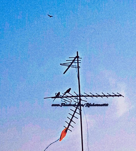 sfondi wind, energy