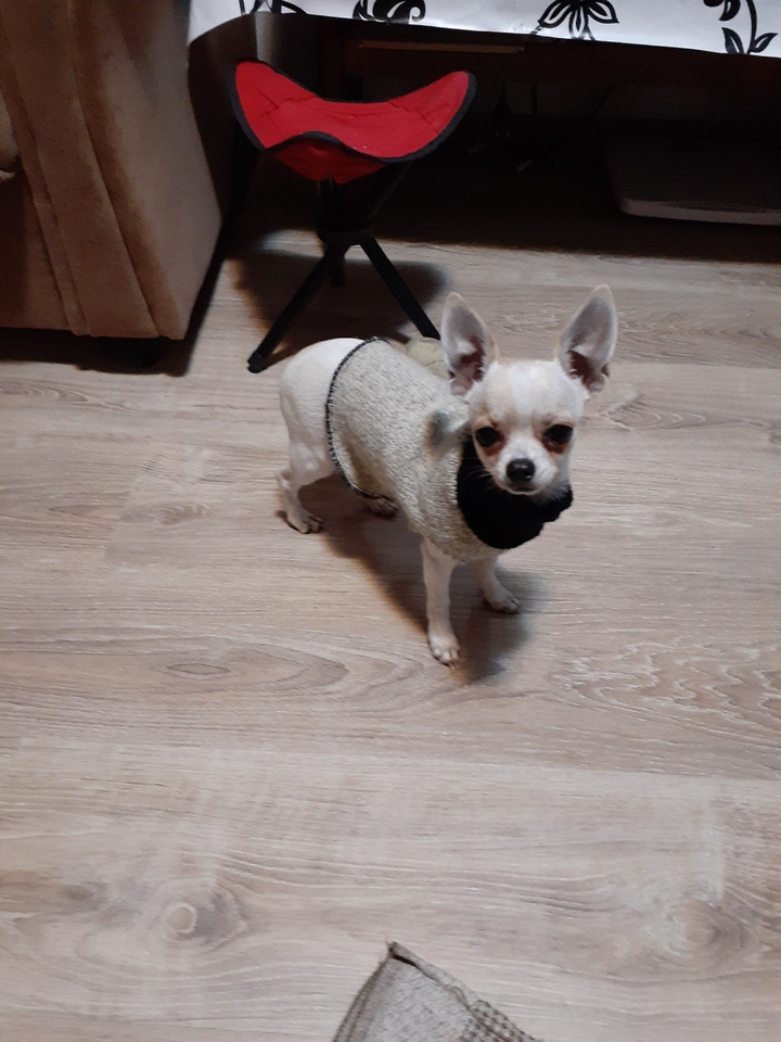 Nyusha