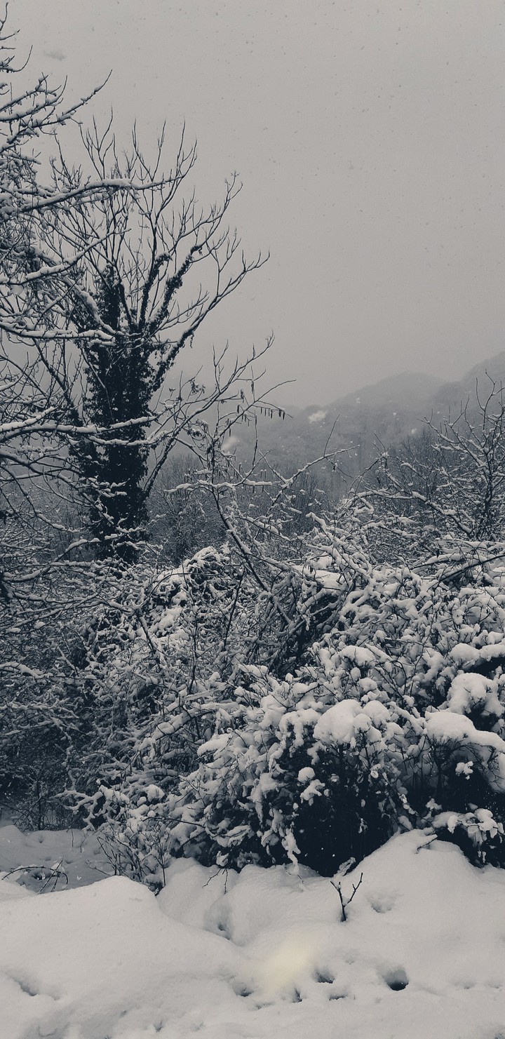 winter in sochi