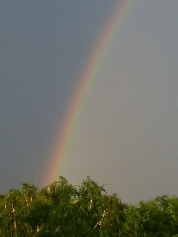 Rainbow
